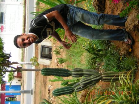 je mort son toi   mary